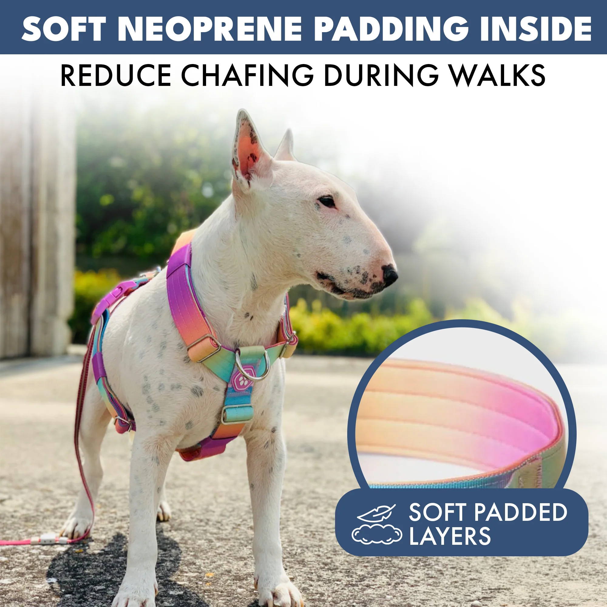 Productafbeelding 12