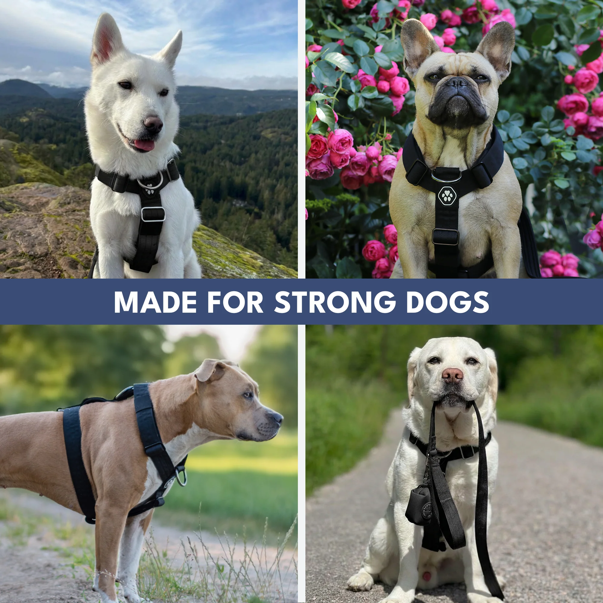 Productafbeelding 27