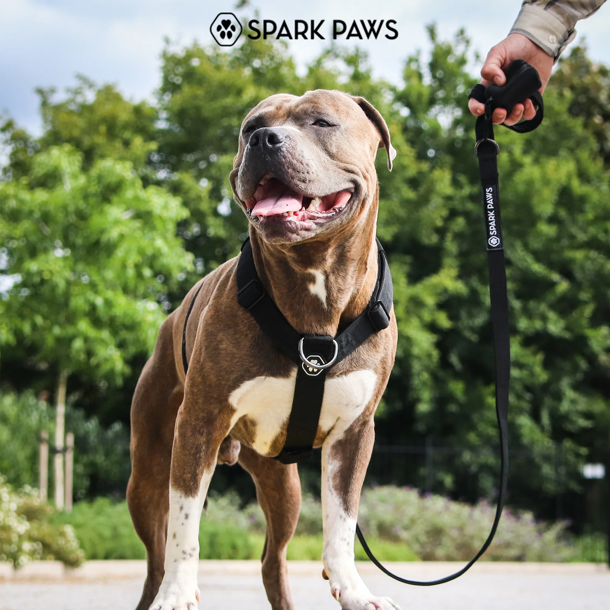 Productafbeelding 28