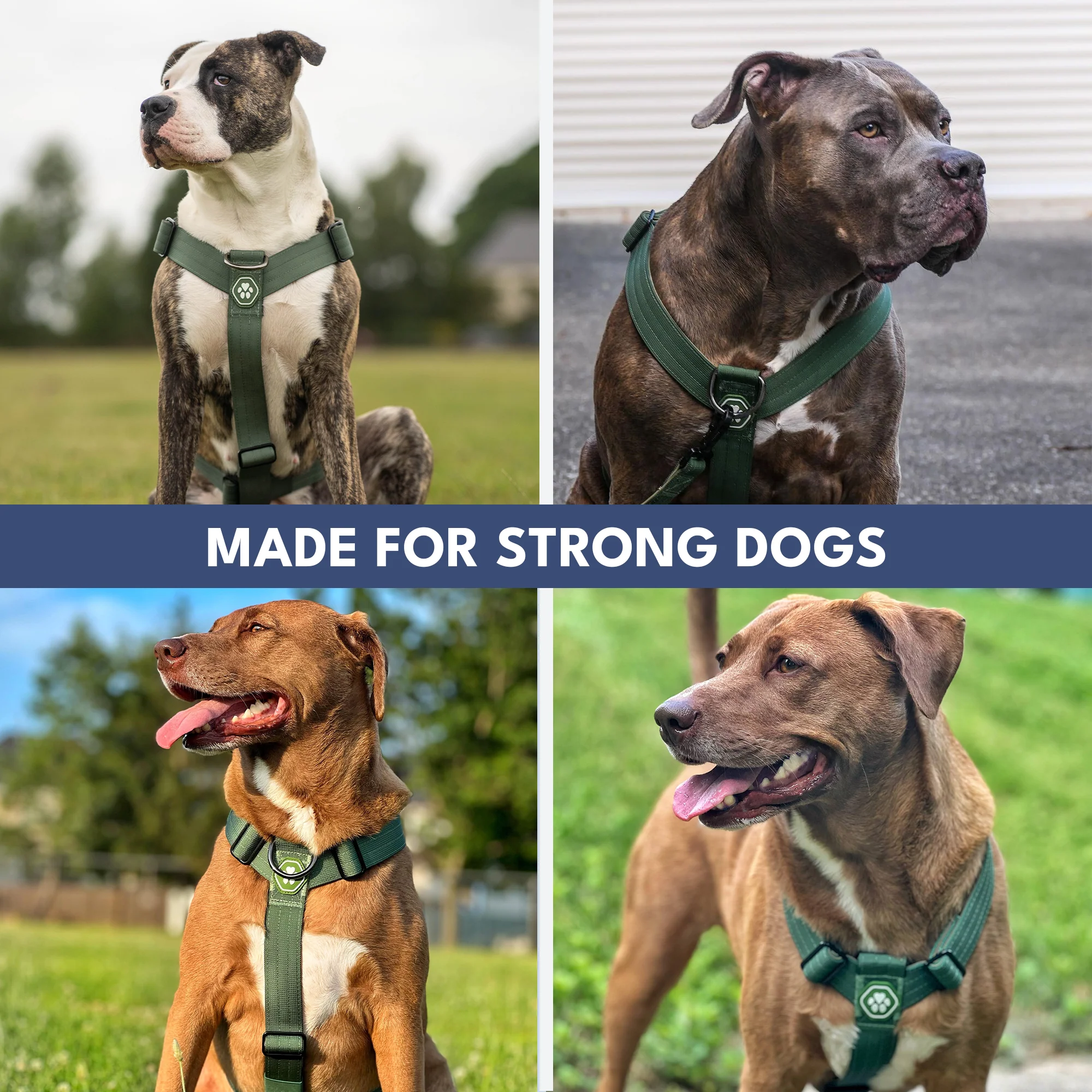 Productafbeelding 34