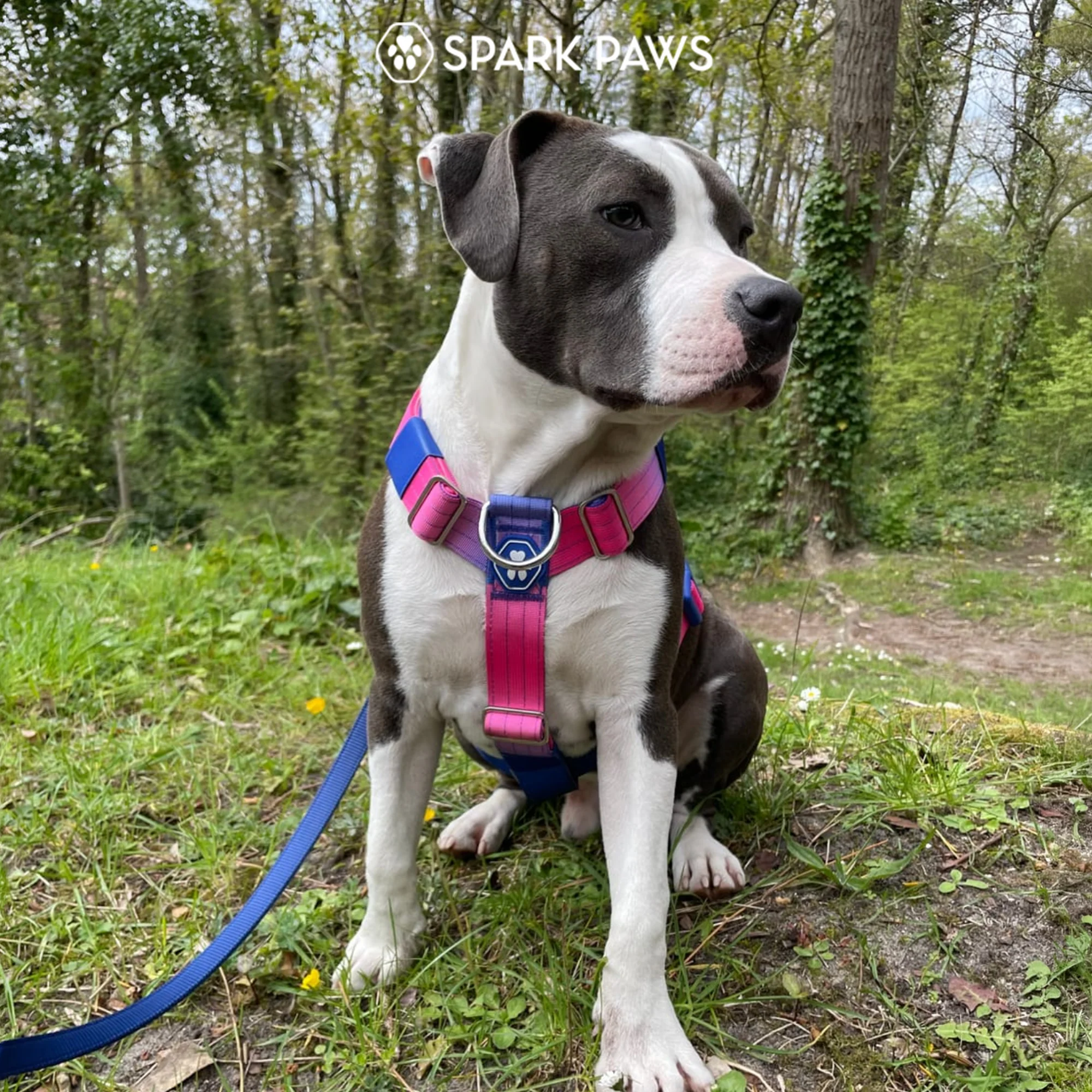 Productafbeelding 41