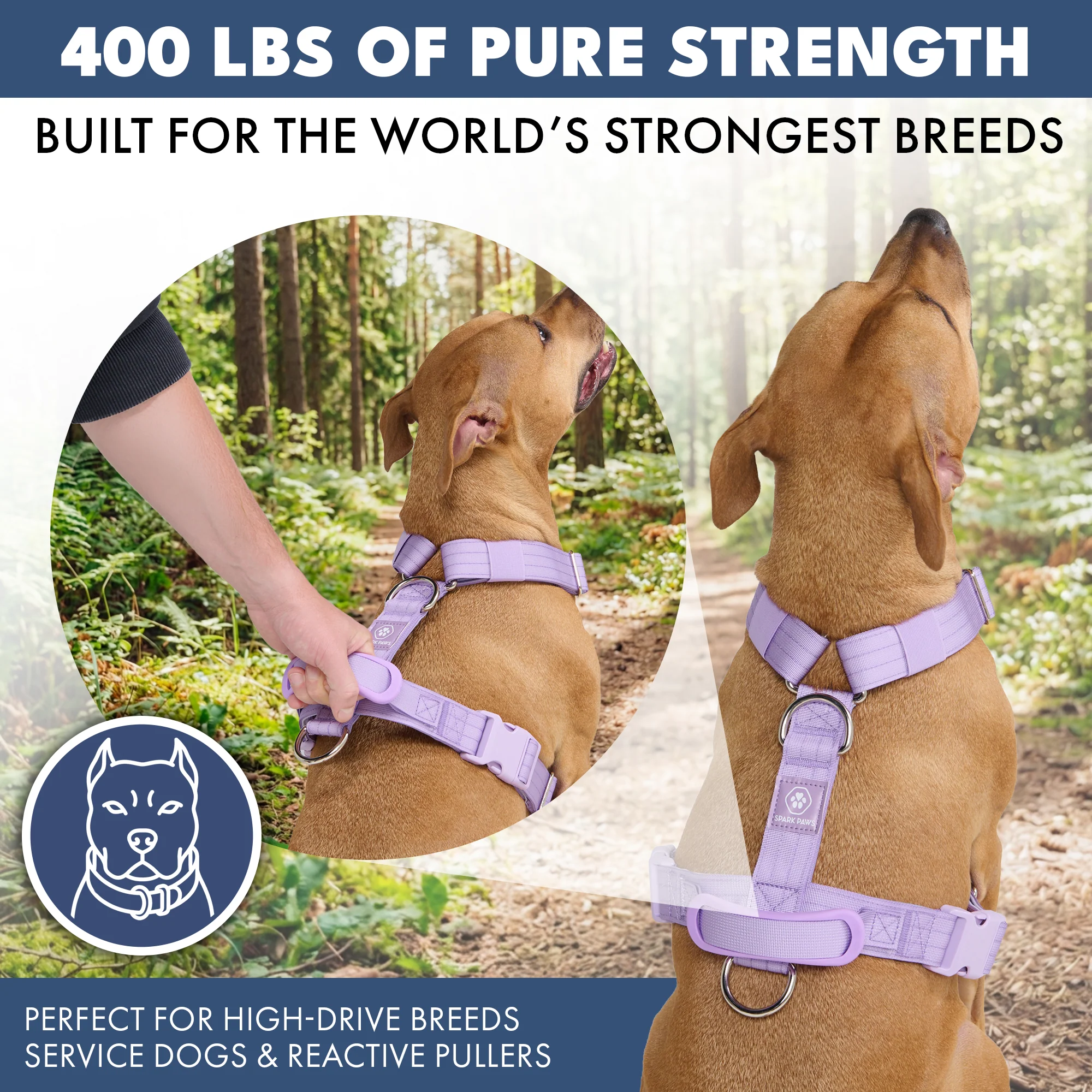 Productafbeelding 46