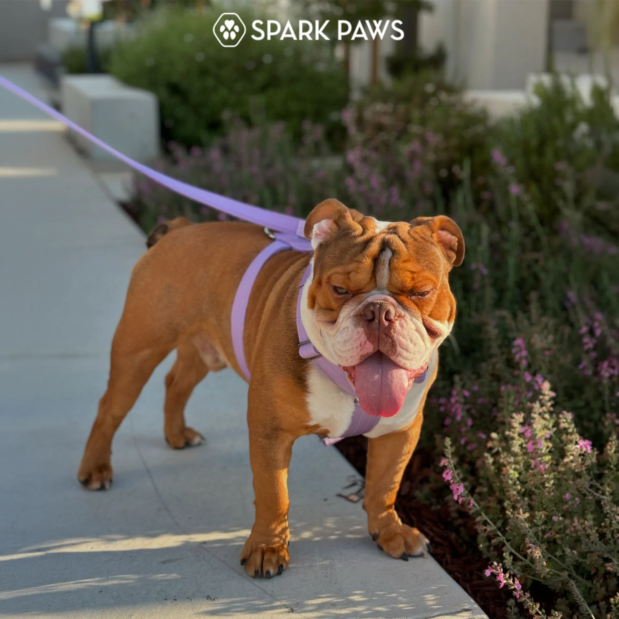 Productafbeelding 49