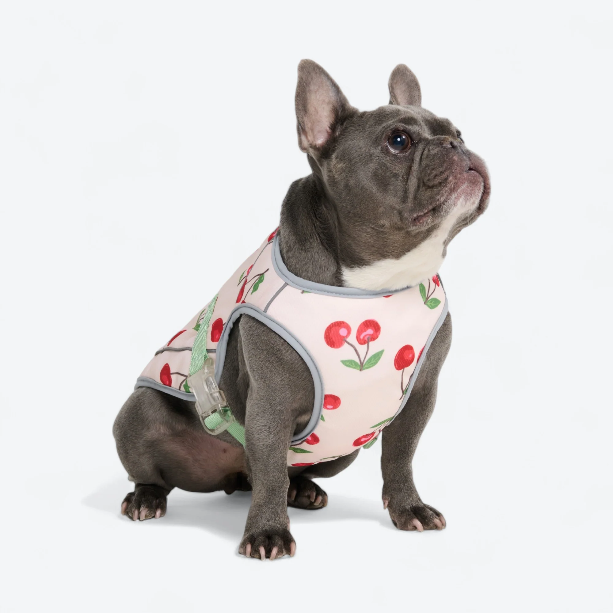 Productafbeelding 68