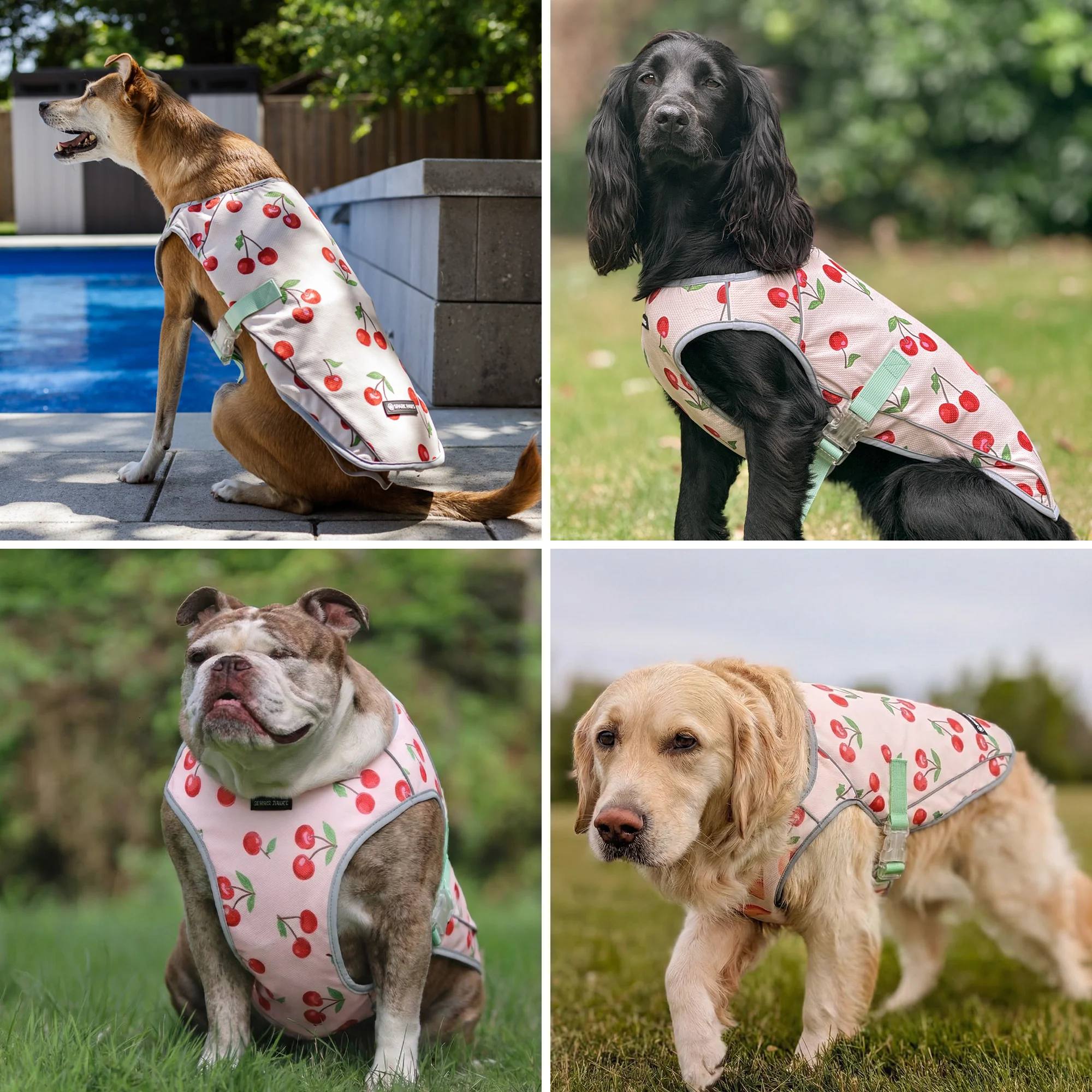 Productafbeelding 75