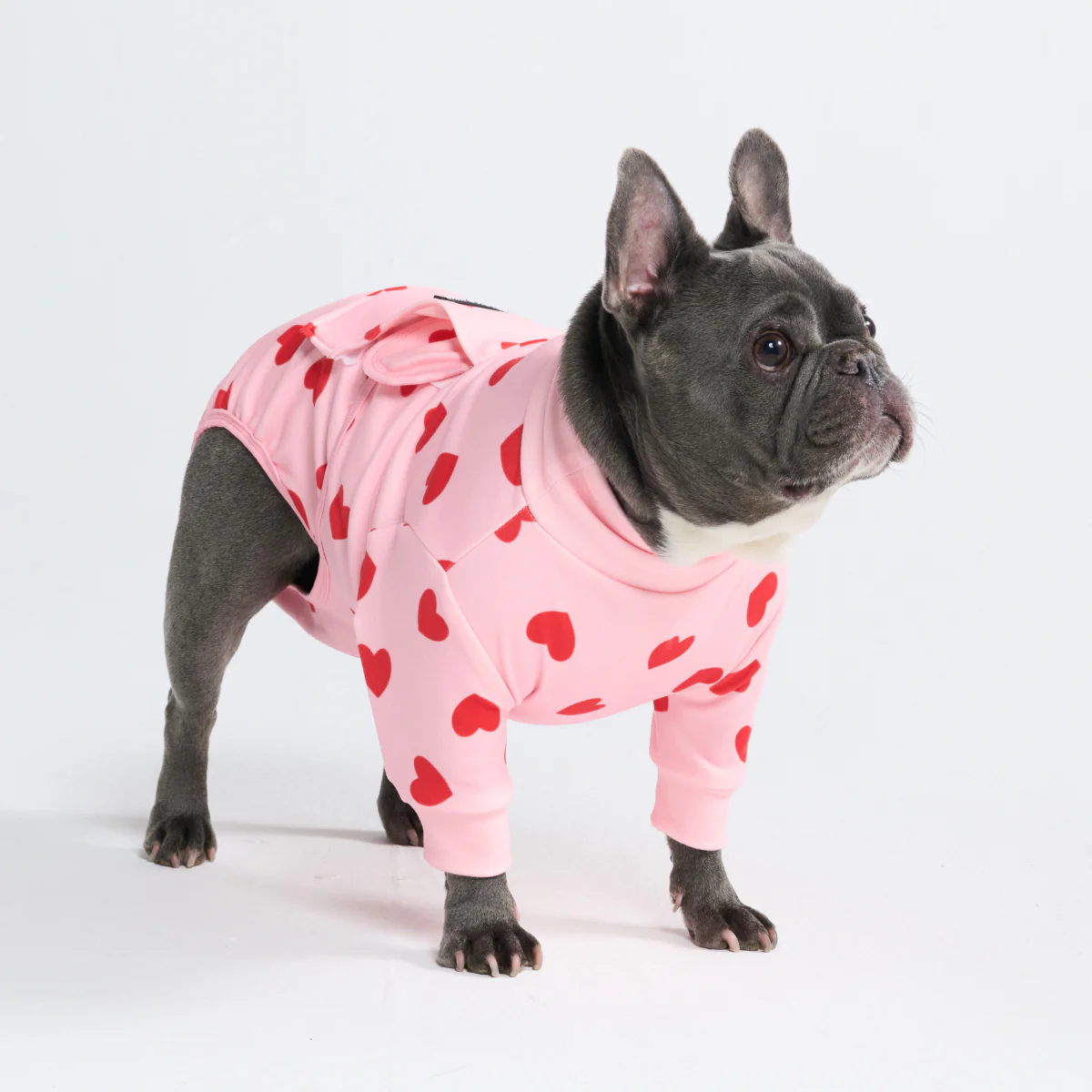 Productafbeelding 11