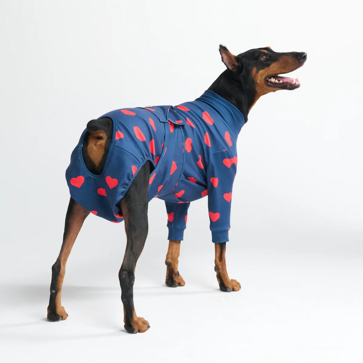 Productafbeelding 10