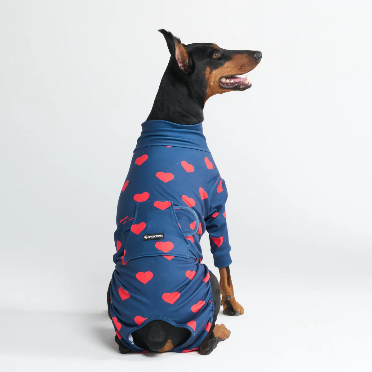 Productafbeelding 11