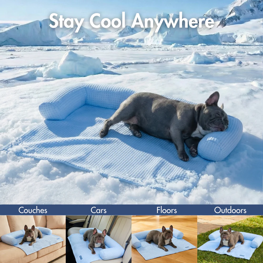 Productafbeelding 11