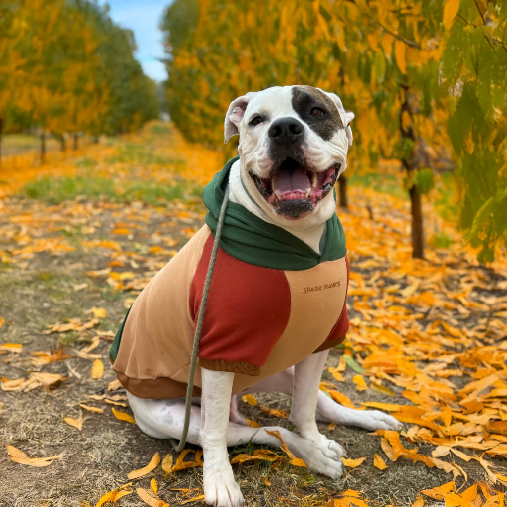 Productafbeelding 62