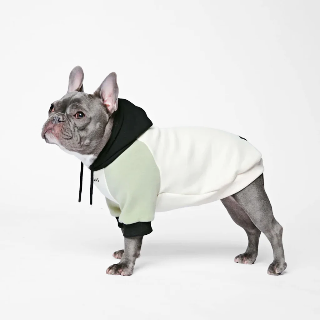 Productafbeelding 66