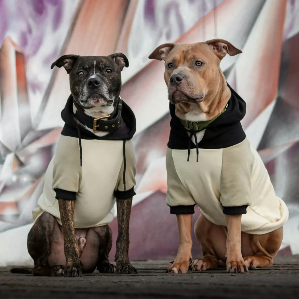 Productafbeelding 74