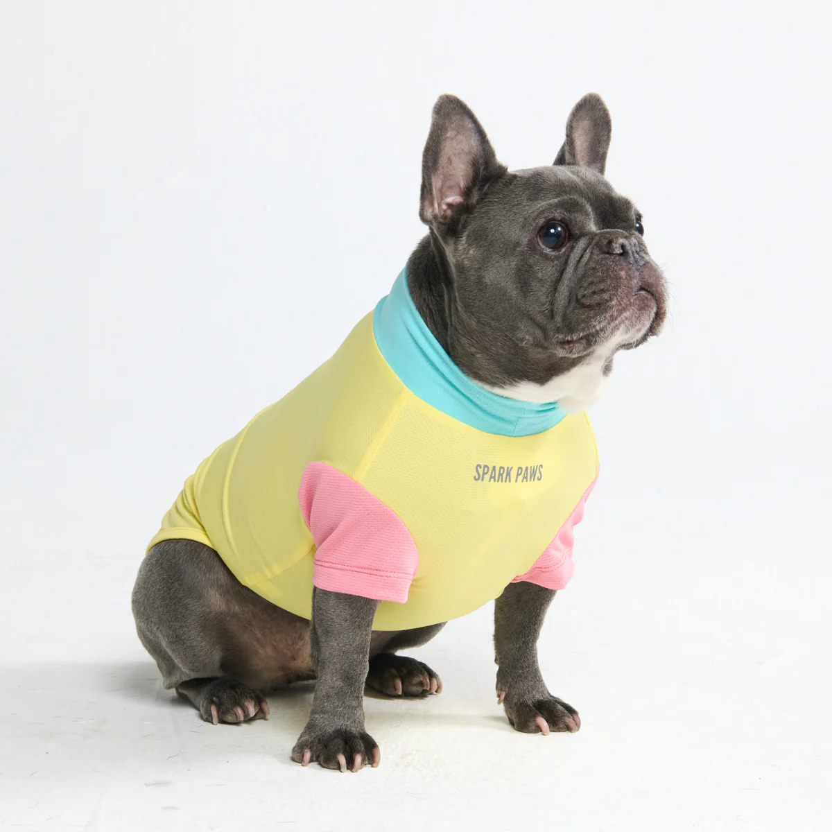 Productafbeelding 22