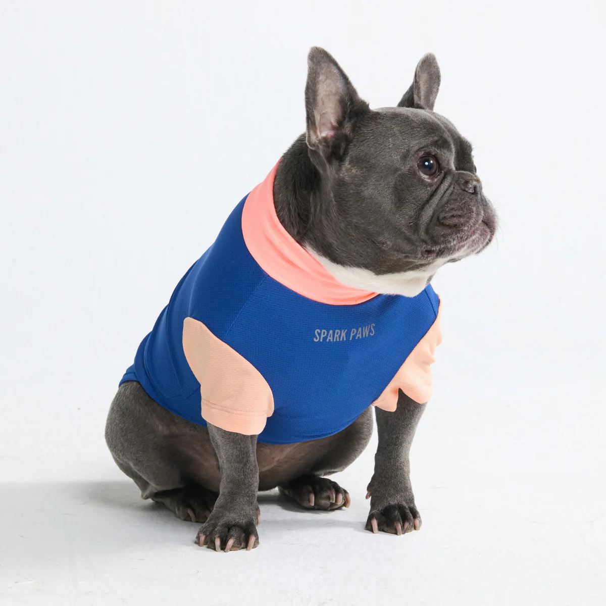 Productafbeelding 46