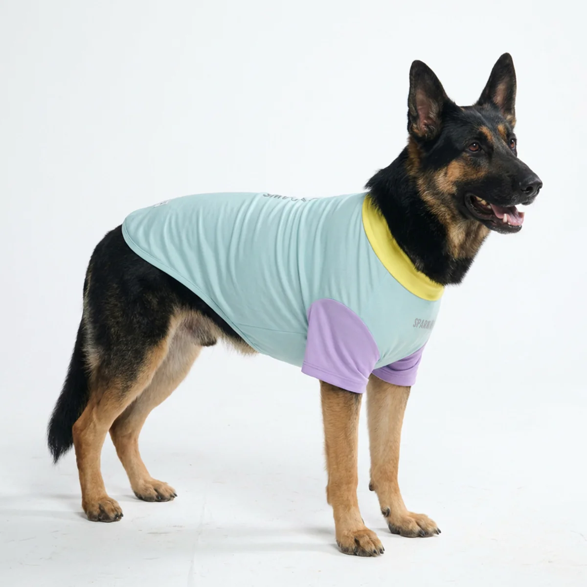 Productafbeelding 52