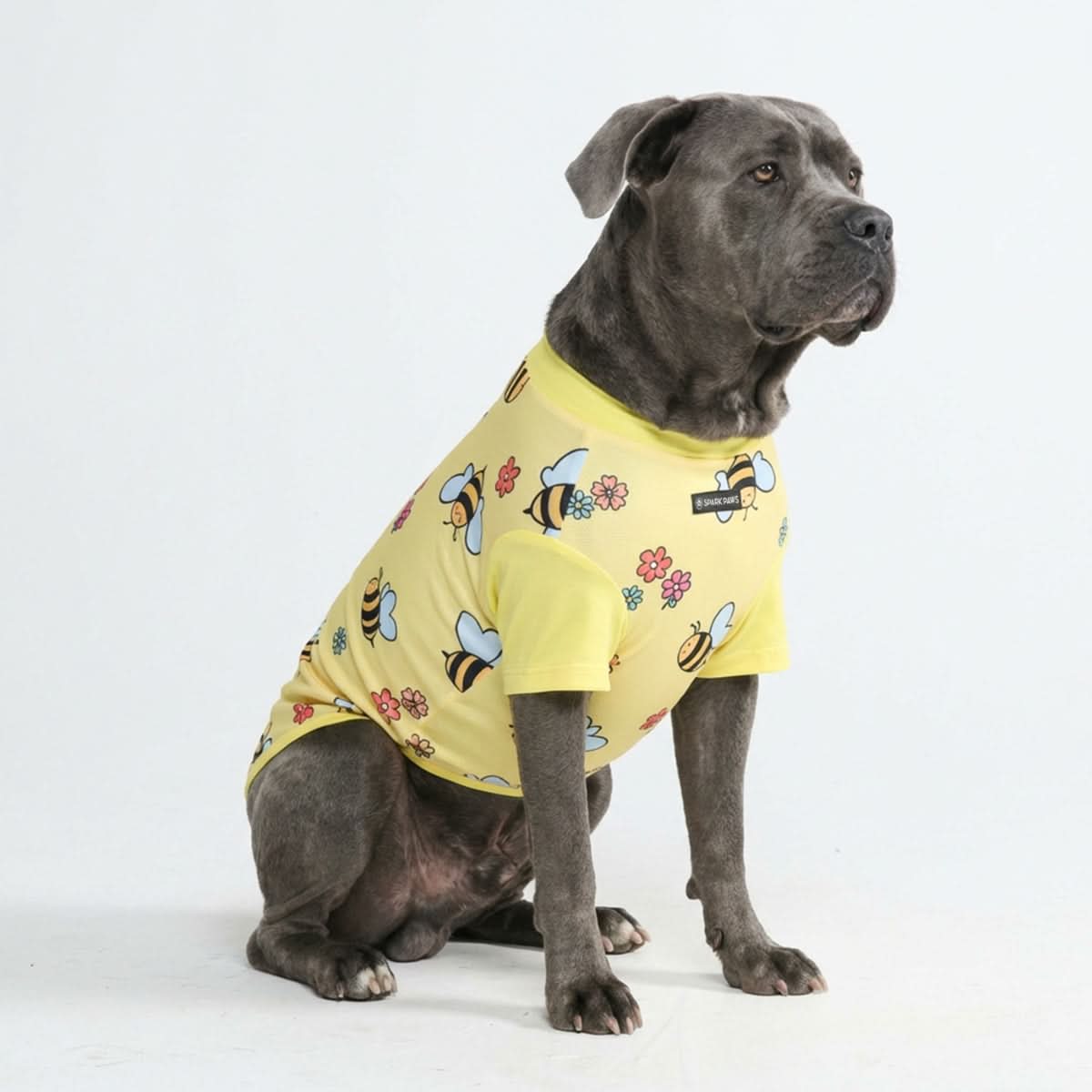 Productafbeelding 59