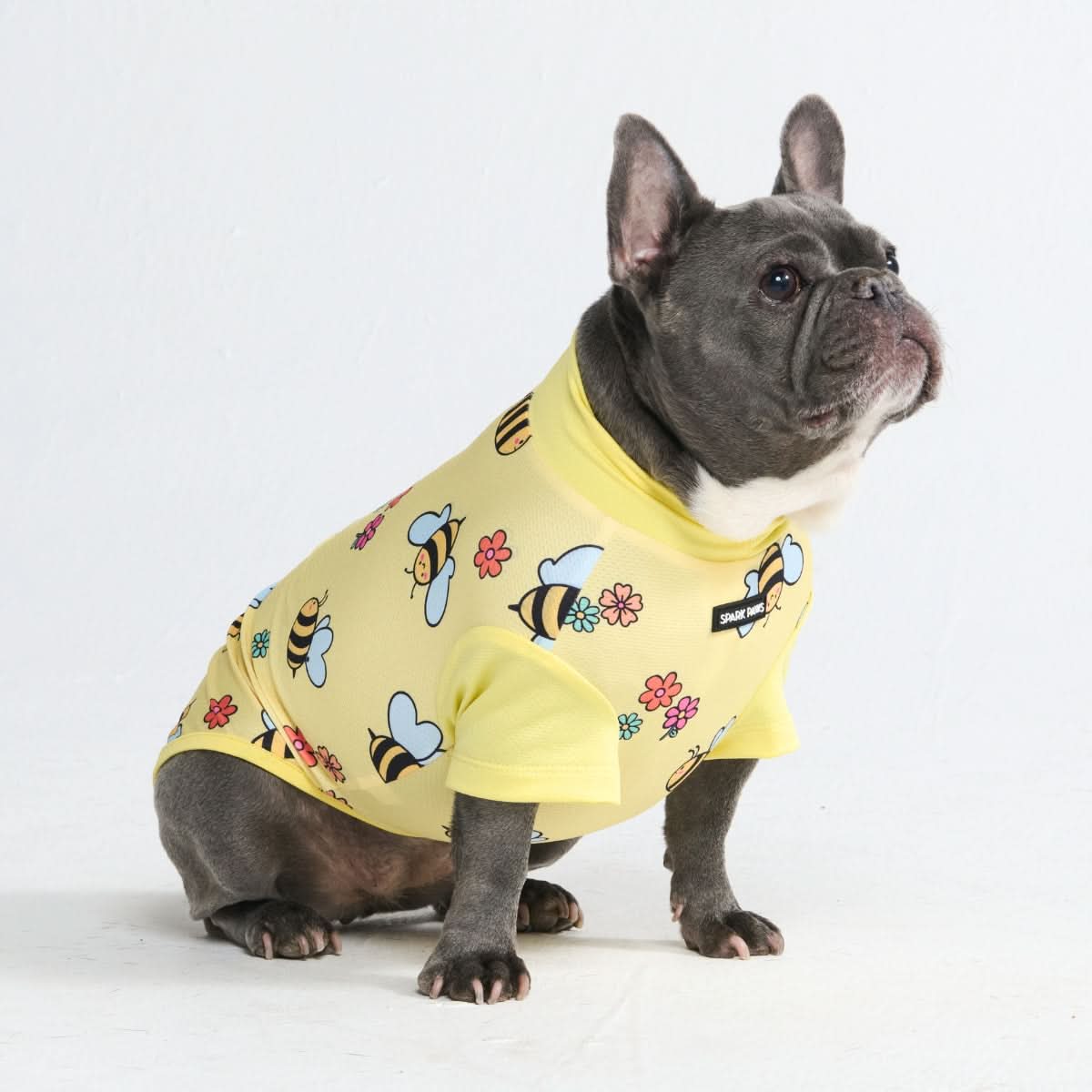 Productafbeelding 61