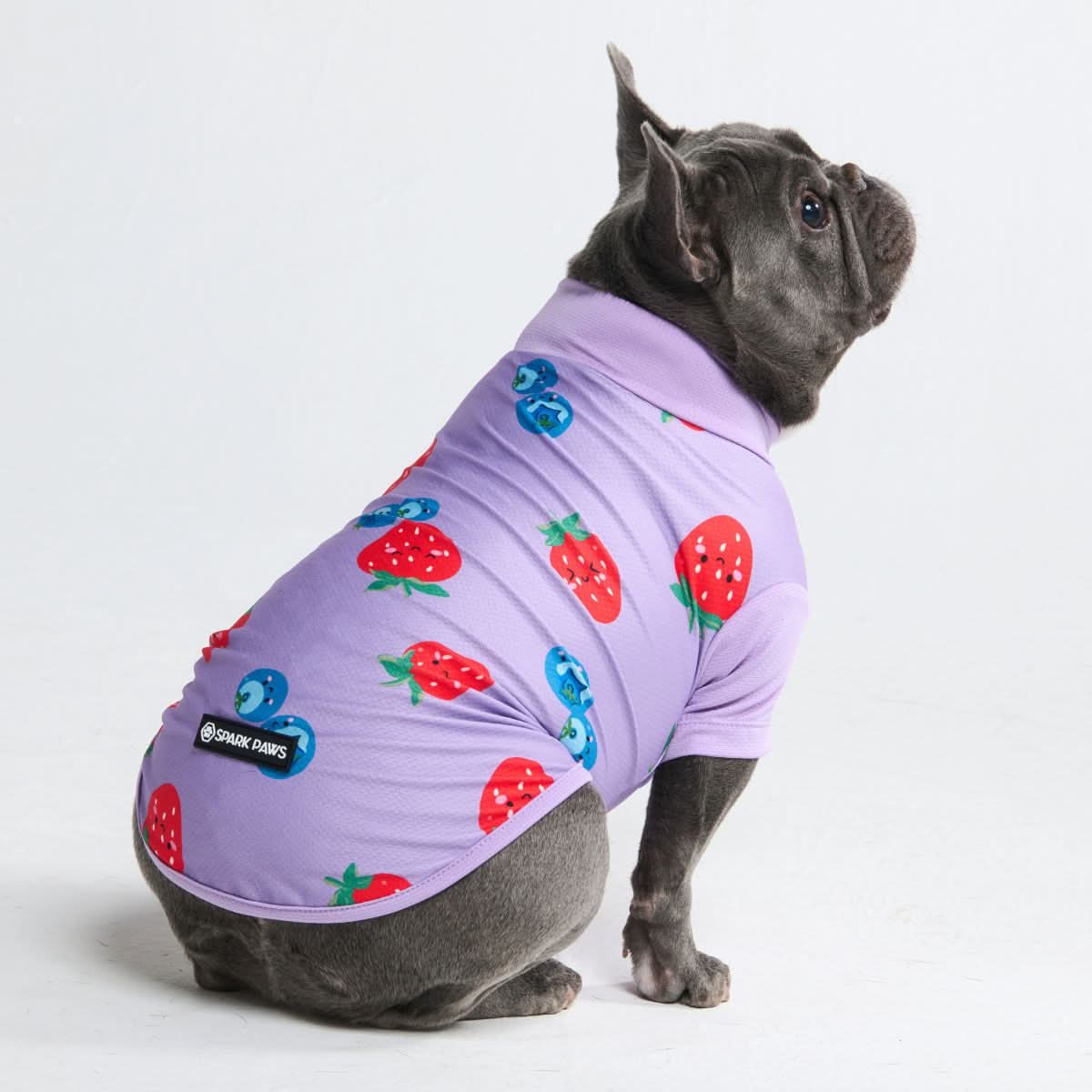 Productafbeelding 21