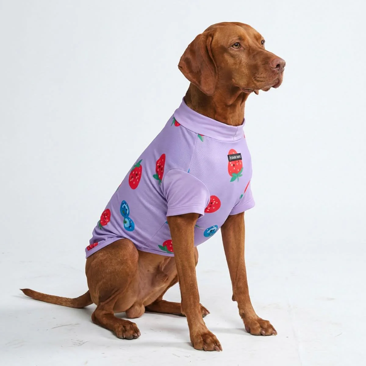 Productafbeelding 19