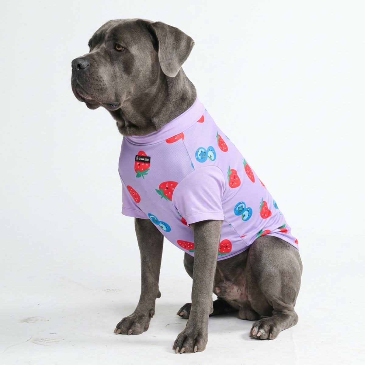 Productafbeelding 22