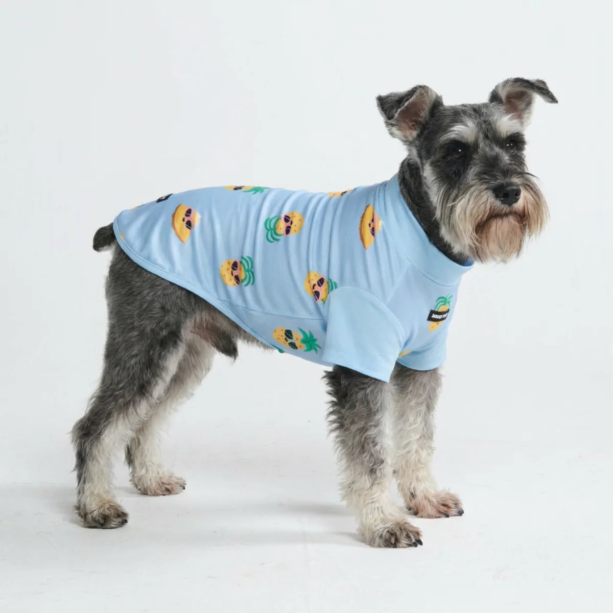 Productafbeelding 33