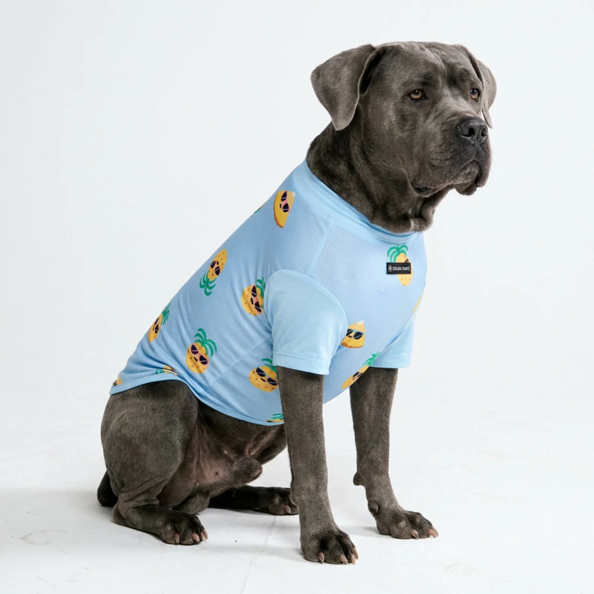 Productafbeelding 36