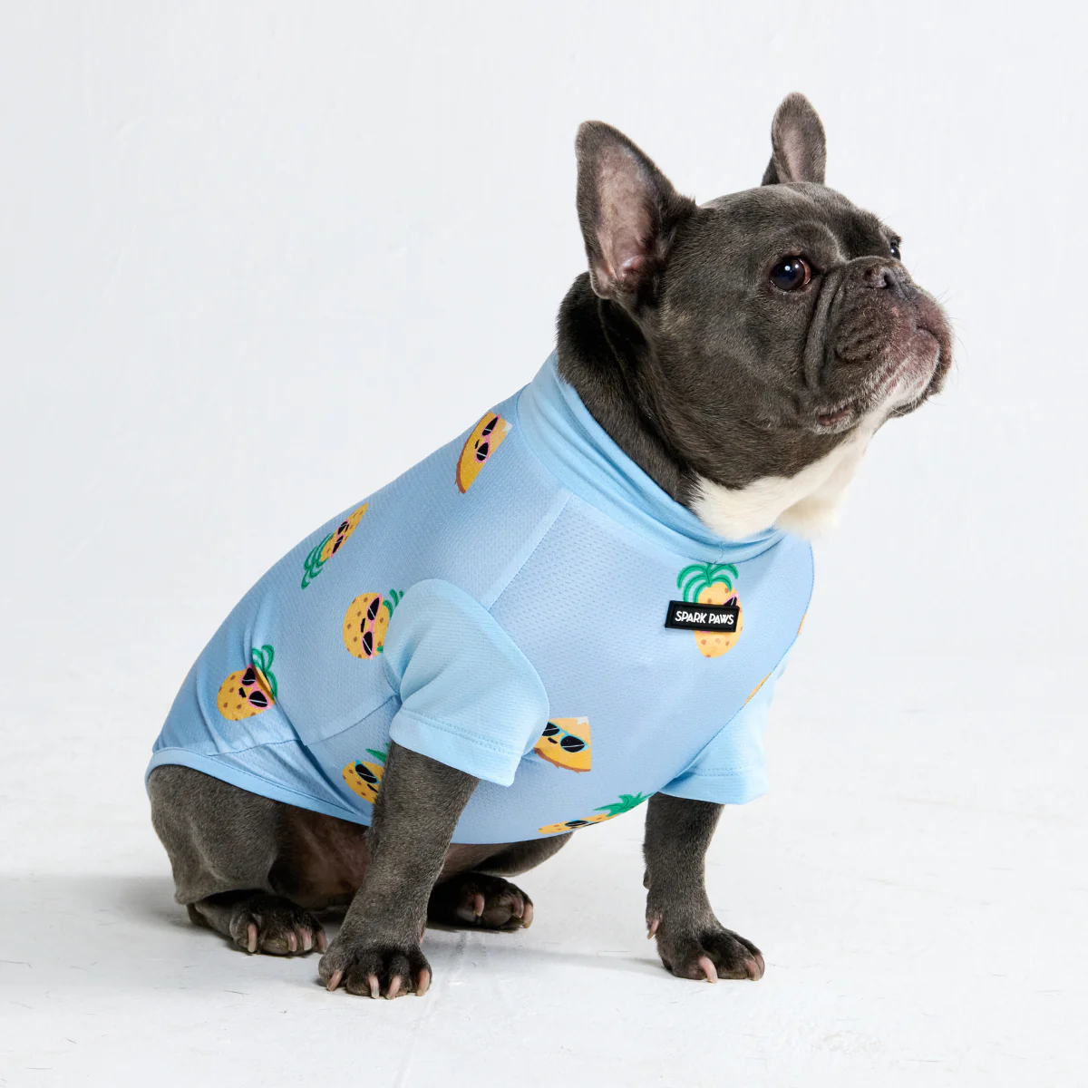 Productafbeelding 38